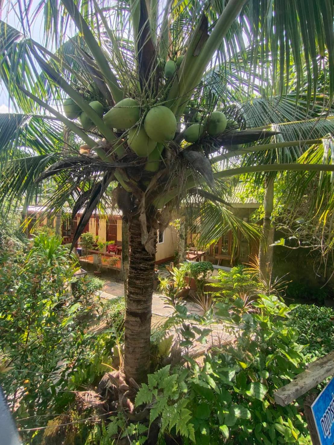 Lanta Riviera Beach Resort Ko Lanta Eksteriør bilde